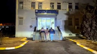 Şanlıurfada aranan cinayet zanlısı yakalandı