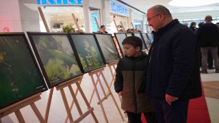 Sapanca Gölü fotoğrafları Gazze için umuda dönüştü: Geliri yetim ve öksüz çocuklara bağışlanacak
