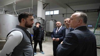 Sarıcakayada zeytin ve zeytinyağı üretimi hızla artıyor