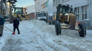 Sarıkamışta kar seferberliği: İlçe merkezinden 600 kamyon kar taşındı
