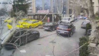 Sarıyerde çınar ağacı otomobilin üzerine devrildi: O anlar kamerada