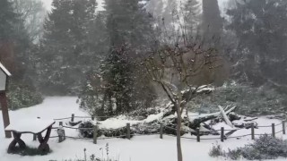 Sarıyerin yüksek kesimleri karla kaplandı