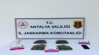 Serikte uyuşturucu operasyonu