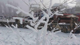 Sibirya soğukları hayatı olumsuz etkiliyor