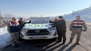 Siirtte kaçak avcıya 26 bin lira ceza