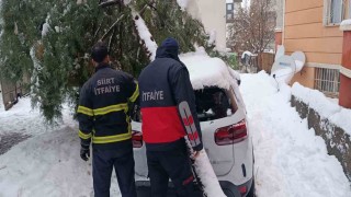 Siirtte karın ağırlığına dayanamayan çam ağacı otomobilin üzerine devrildi