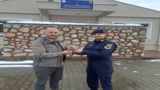 Sinopta jandarma ekipleri yaralı kuşa umut oldu