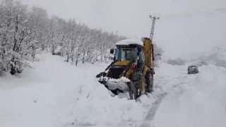 Şırnakta kar nedeniyle kapanan yollar açıldı