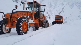 Şırnakta karlı yollar ulaşıma açılıyor