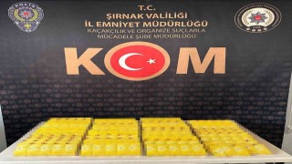 Şırnakta silah, uyuşturucu ve milyonluk kaçak mal ele geçirildi