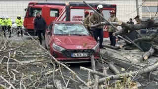 Şişlide ağaç, park halindeki aracın üzerine devrildi