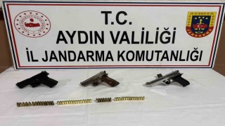 Sökede büyükbaş hayvan hırsızlığı ve ruhsatsız silah operasyonu