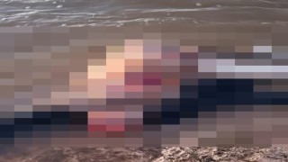Suriyede su kanalında erkek cesedi bulundu