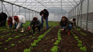 Tarım Akademisinde 16-55 yaş arası aday çiftçilere eğitim