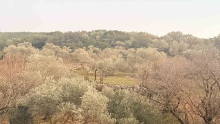 Tarlada aniden fenalaşan bir kişi hayatını kaybetti
