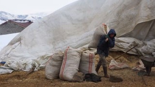 Tatvanda yayladan besiye dönüş