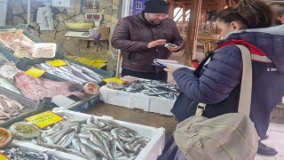Tekirdağda perakende balık satış yerlerine denetim