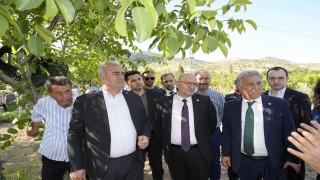 Trabzon hurması, dut ve incire destek ödemesi başladı