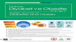 Türkiye Diyabet ve Obezite Dergisinin 2025 Aralık sayısı yayımlandı