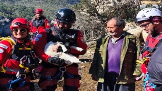 Uçurumdan düşen kuzuyu ekipler kurtardı
