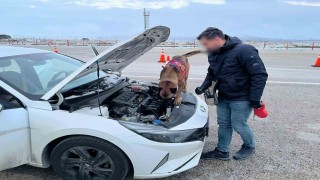 Uyuşturucu tacirleri, narkotik köpeğinden kaçamadı