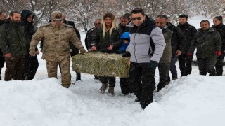 Vali Aygöl, yaban hayvanları için kolları sıvadı