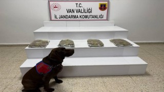 Vanda 5 kilo 250 gram kubar esrar ele geçildi
