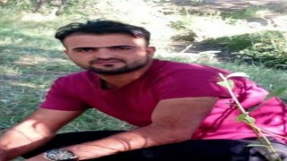 Vanda bir genç iş yerinin önündeki araçta ölü bulundu