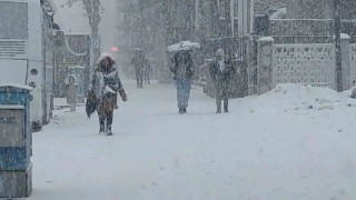 Vanda lapa lapa kar yağdı: 405 yerleşim yerinin yolu kapalı