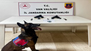 Vanda ruhsatsız tabanca ele geçirildi