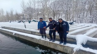 Vanda zorlu kış şartlarında alabalık üretimi mercek altında