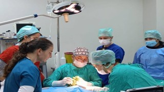 Veteriner Fakültesinde 3 bin hayvana şifa