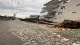 Yalovada fırtına hayatı olumsuz etkiliyor