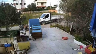 Yerde yatan köpeği ezip yoluna devam etti