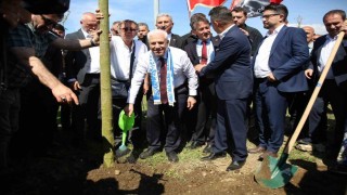 Yeşil ve mavisi ile Bursa yeniden nefes alıyor