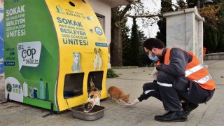 Yıldırım Belediyesinden sokak hayvanlarına sıcak yuva