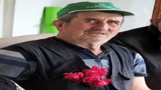 Yolun karşısına geçmek isterken hayatını kaybetti