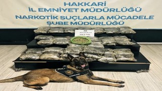 Yüksekovada 30 kilo Skunk ele geçirildi: 2 şüpheli gözaltında