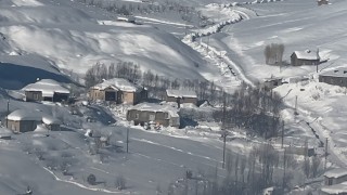 Yüksekovada çiftçilere kurt saldırısı uyarısı