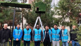 Yurt öğrencileri kuşlar için ev yaptılar