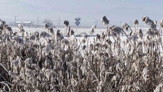 Yüzeyi buz tutan Kaz gölü kış manzarası ile mest etti