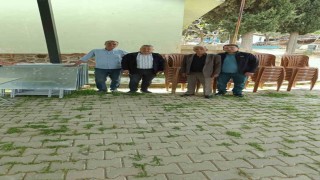 Ziraat odasının Buldanlı çiftçilere desteği sürüyor