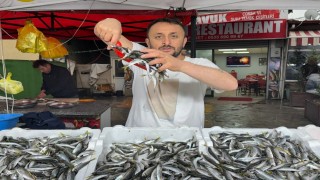 Zonguldakta istavrit tezgahta 100 liradan satıldı