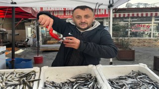 Zonguldakta tezgahlar istavritle şenlendi