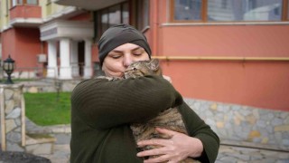 20 yıldır sokak kedilerine annelik yapıyor: Sadece sevgi istiyorlar