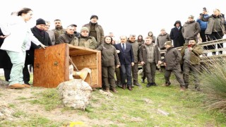 81 binden fazla göçmen kuş halkalandı