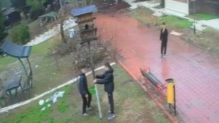 Adanada parktaki kuş yuvasını parçaladılar