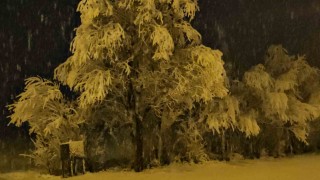 Adilcevazda kar yağışı beraberinde güzel görüntüler getirdi
