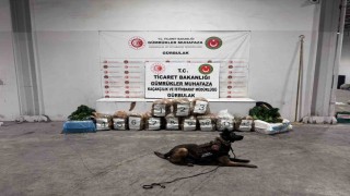 Ağrıda Gürbulak Sınır Kapısında 51 kilo 520 gram esrar ele geçirildi