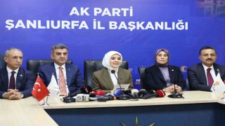 Aile ve Sosyal Hizmetler Bakanı Göktaş: Haziran 2023ten bugüne Şanlıurfaya 46,5 milyar lira sosyal yardım harcaması aktardık